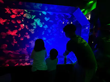 名古屋港水族館に投稿された画像（2026/8/2）