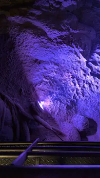 おきなわワールドに投稿された画像（2026/8/2）
