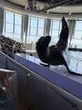 アクアワールド茨城県大洗水族館に投稿された画像（2026/8/2）