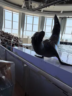 アクアワールド茨城県大洗水族館に投稿された画像（2026/8/2）
