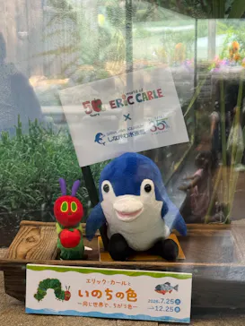 しながわ水族館に投稿された画像（2026/8/2）