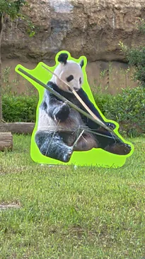 上野動物園 ハシビロカートに投稿された画像（2026/8/2）