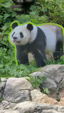 上野動物園 ハシビロカートに投稿された画像（2026/8/2）