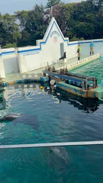しながわ水族館に投稿された画像（2026/8/2）