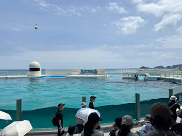 鴨川シーワールドに投稿された画像（2026/8/2）