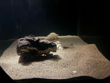 環境水族館アクアマリンふくしまに投稿された画像（2026/8/2）