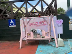 那須ハイランドパークに投稿された画像（2026/8/2）
