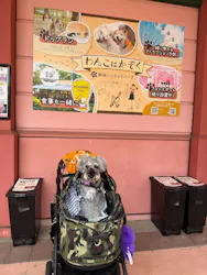 那須ハイランドパークに投稿された画像（2026/8/2）