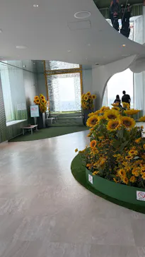 サンシャイン60展望台に投稿された画像（2026/8/2）