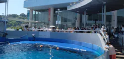 大分マリーンパレス水族館 「うみたまご」に投稿された画像（2026/8/2）
