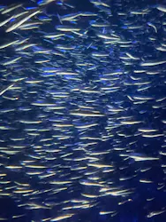 大分マリーンパレス水族館 「うみたまご」に投稿された画像（2026/8/2）
