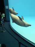名古屋港水族館に投稿された画像（2026/8/2）