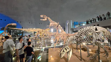 福井県立恐竜博物館に投稿された画像（2026/8/2）