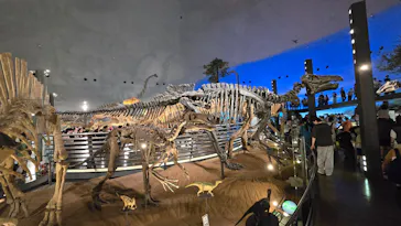 福井県立恐竜博物館に投稿された画像（2026/8/2）