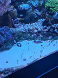 サンシャイン水族館に投稿された画像（2026/8/2）