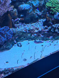 サンシャイン水族館に投稿された画像（2026/8/2）