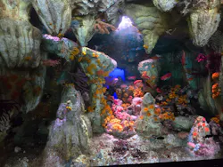 サンシャイン水族館に投稿された画像（2026/8/2）