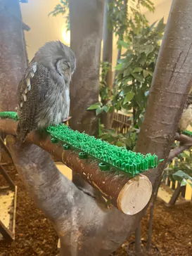 Moff animal cafe イオンモール幕張新都心店に投稿された画像（2026/8/2）