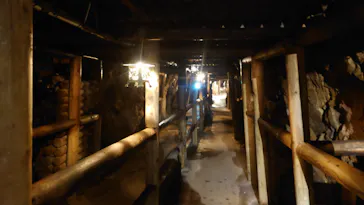 土肥金山に投稿された画像（2026/8/2）