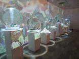NARA KINGYO MUSEUMに投稿された画像（2026/8/2）