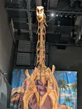 福井県立恐竜博物館に投稿された画像（2026/8/2）