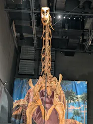 福井県立恐竜博物館に投稿された画像（2026/8/2）