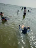 稲毛海浜公園（SUNSET BEACH PARK INAGE）に投稿された画像（2026/8/2）