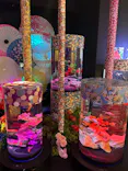 UWS AQUARIUM GA☆KYOに投稿された画像（2026/8/2）