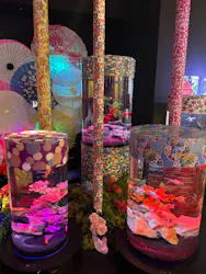 UWS AQUARIUM GA☆KYOに投稿された画像（2026/8/2）