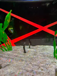 UWS AQUARIUM GA☆KYOに投稿された画像（2026/8/2）