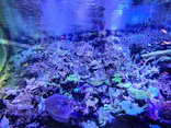 名古屋港水族館に投稿された画像（2026/8/3）