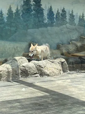 天王寺動物園に投稿された画像（2026/8/2）