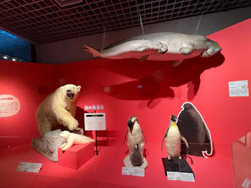 特別展「いきもの超ワールド展　国立科学博物館×ダーウィンが来た！」（国立科学博物館）に投稿された画像（2026/8/2）