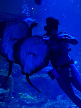 京都水族館に投稿された画像（2026/8/2）