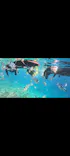 武藤潜水に投稿された画像（2026/8/3）