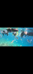 武藤潜水に投稿された画像（2026/8/3）