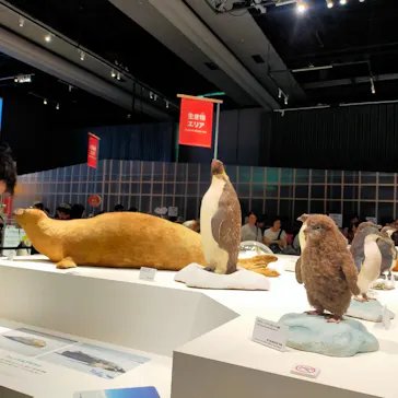 大南極展に投稿された画像（2026/8/3）