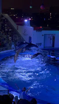 仙台うみの杜水族館に投稿された画像（2026/8/3）