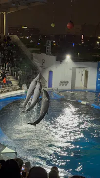 仙台うみの杜水族館に投稿された画像（2026/8/3）