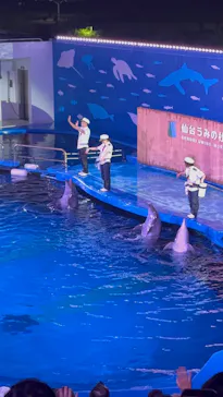 仙台うみの杜水族館に投稿された画像（2026/8/3）
