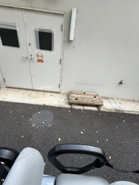 上野動物園 ハシビロカートに投稿された画像（2026/8/3）