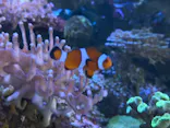 名古屋港水族館に投稿された画像（2026/8/3）