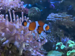名古屋港水族館に投稿された画像（2026/8/3）