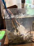 伊豆シャボテン動物公園に投稿された画像（2026/8/3）