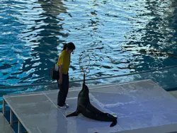 アクアワールド茨城県大洗水族館に投稿された画像（2026/8/3）