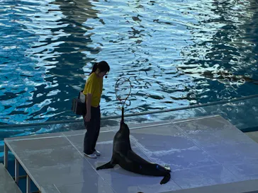 アクアワールド茨城県大洗水族館に投稿された画像（2026/8/3）