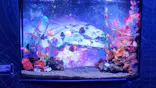 ひらかたパークに投稿された画像（2026/8/3）