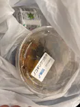 渋谷昆虫探検隊に投稿された画像（2026/8/3）