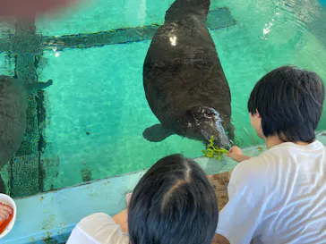 沖縄美ら海水族館（館内体験）に投稿された画像（2026/8/3）