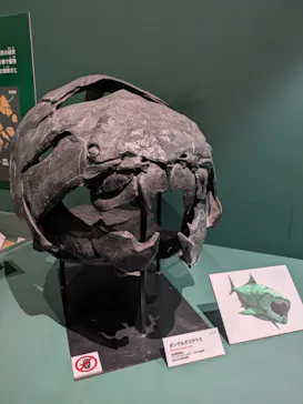 特別展　大絶滅展に投稿された画像（2026/8/3）